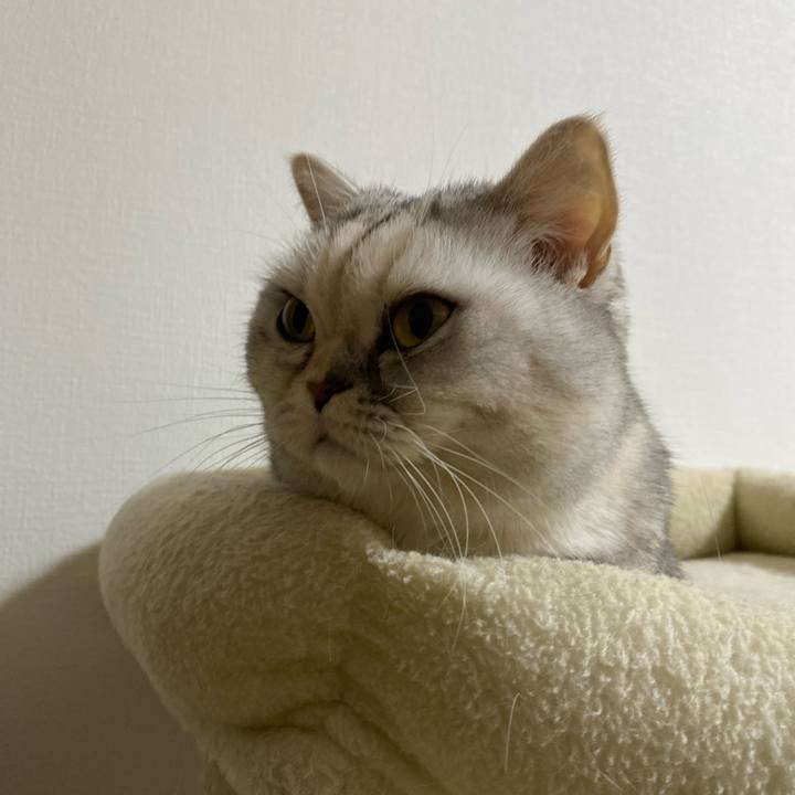 34990319 455e 4f90 b04c 989d7a287cee 1765291064014