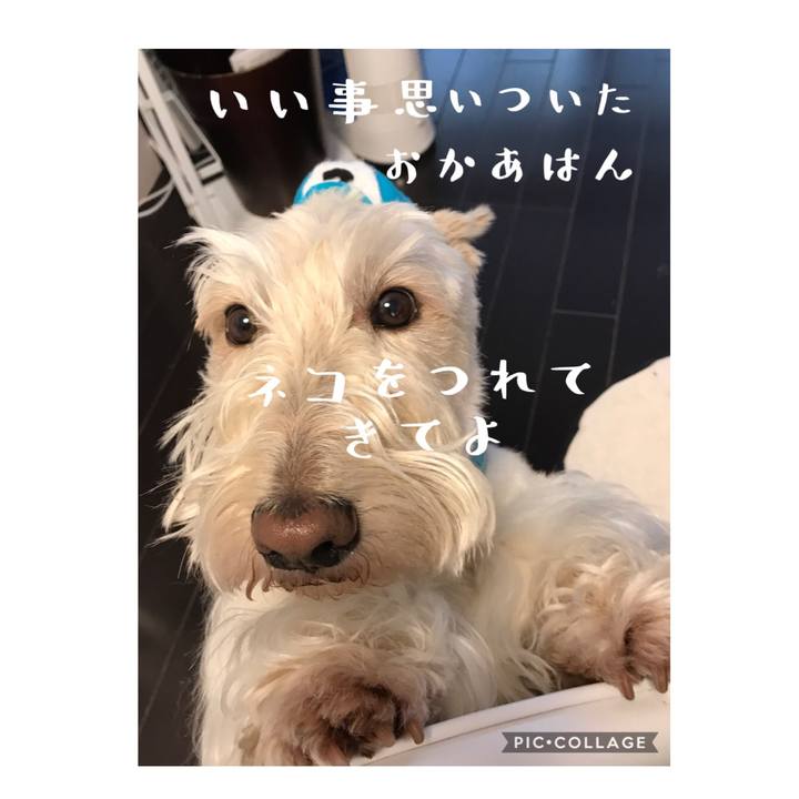 34991884 5b06 4760 9ede f55685857d8b 1585991562196