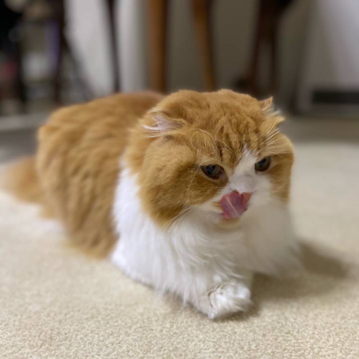 3499214c bfca 488c 8abd 073236e3b33b 1608266191032