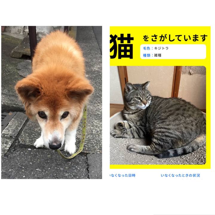 3499985b 3dda 40b9 82e6 9bdd59b4916c 1655463303194