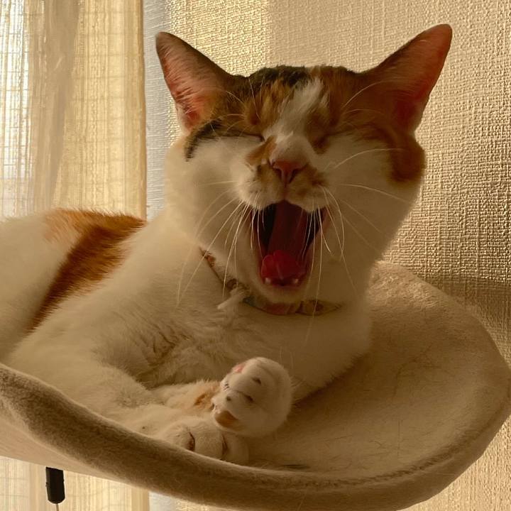 349998b2 9361 4b29 a53a 69bbbb4f0f25 1635061577349