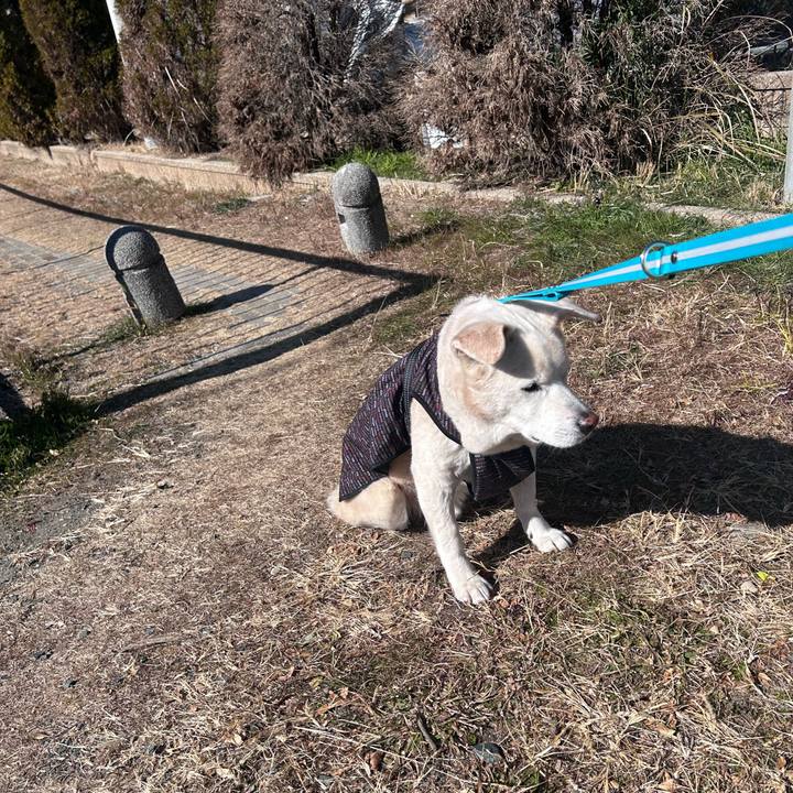 34999b30 ae95 4b03 b7c2 3077a462d510 1769999559739