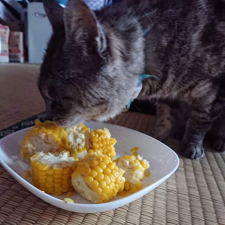 3499d2aa 3443 4898 a2a7 677dbfd62ecc 1566113255390