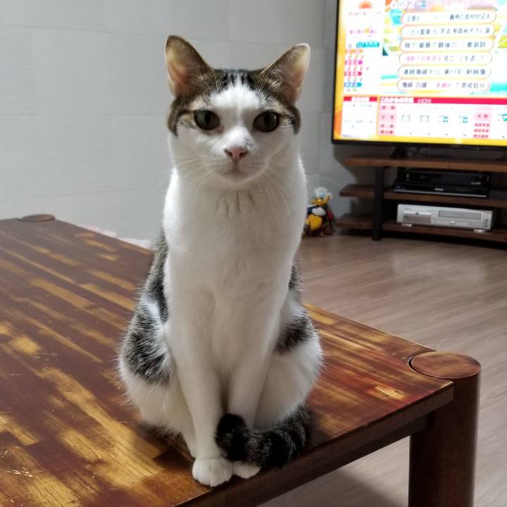 3499eb74 bd86 4303 93b0 1255238db8ab 1556141875634