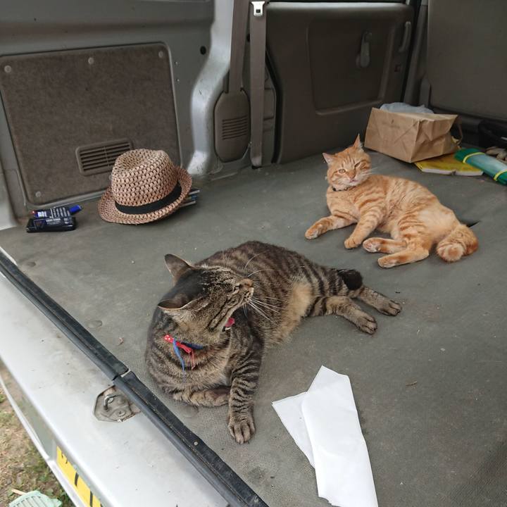 3499eb8f aecb 4f18 9a63 94fce56c697a 1657355761647