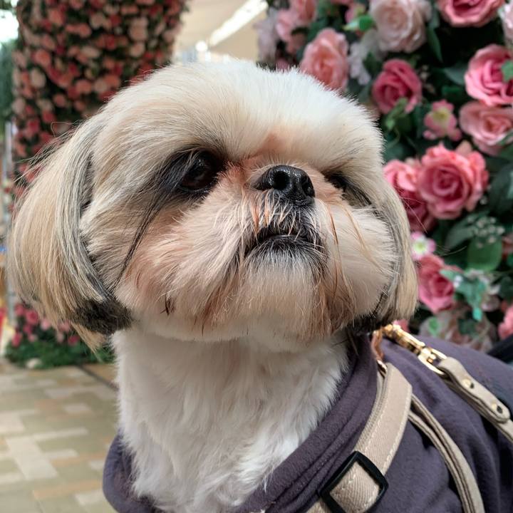 3499f2ad c026 4848 b57c 7f0c6fd1188d 1619344661638