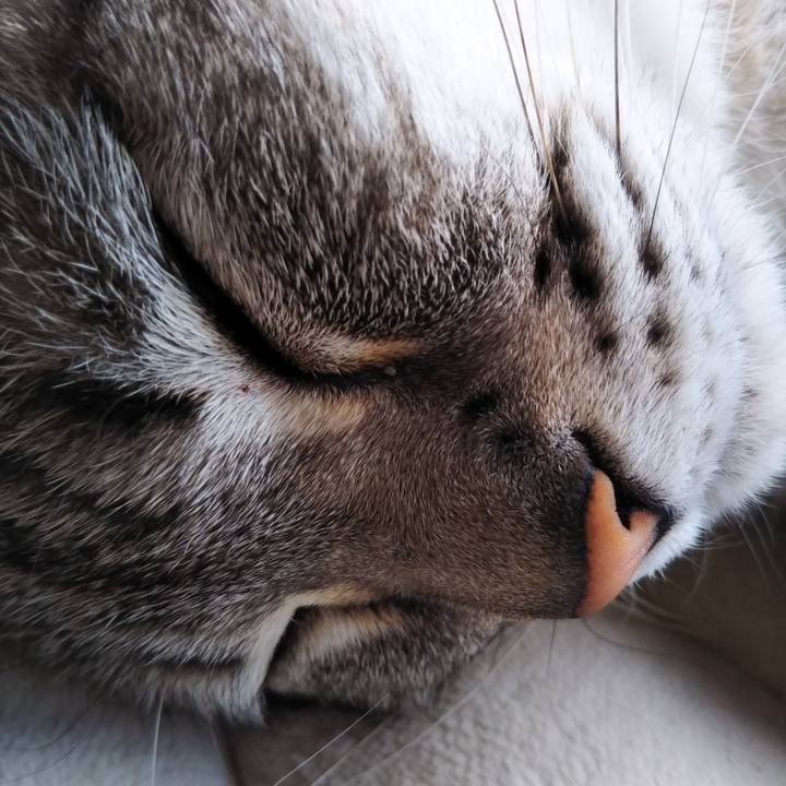 349a001f 9eab 4511 acb4 f64e120218ba 1615602029243