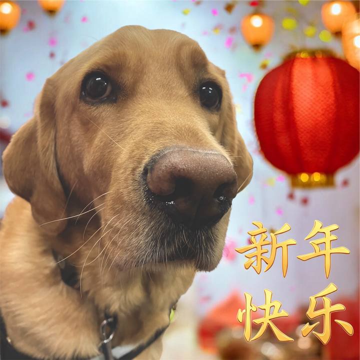 349a4b50 b955 4757 bd46 2658b83ef6fe 1771289020019