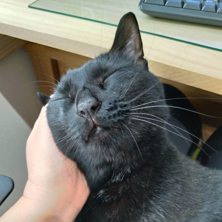 349aa832 1198 4322 87fa f66884ce5c21 1623802146253