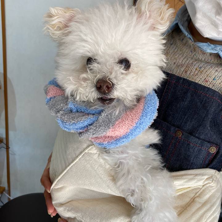 349ac76a 7d89 43c4 bd41 c07cd7dd7975 1644562232423