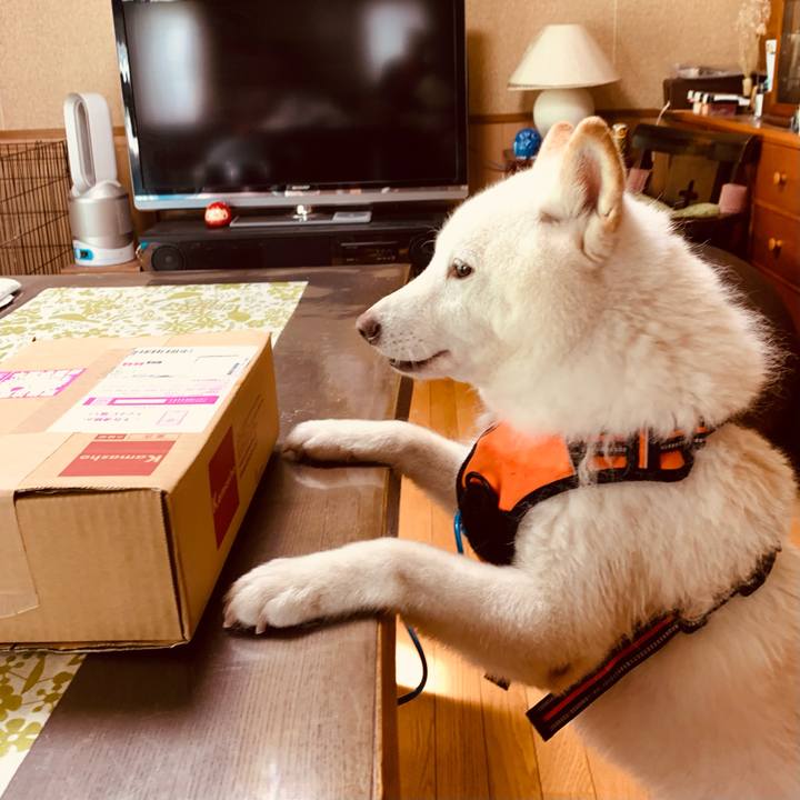 349afc08 73b0 477a a456 9f0717c529b3 1633136429978