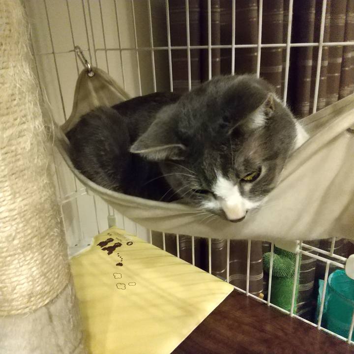 349b05d0 8c7c 41a9 a1a2 fc275b248193 1607377295023