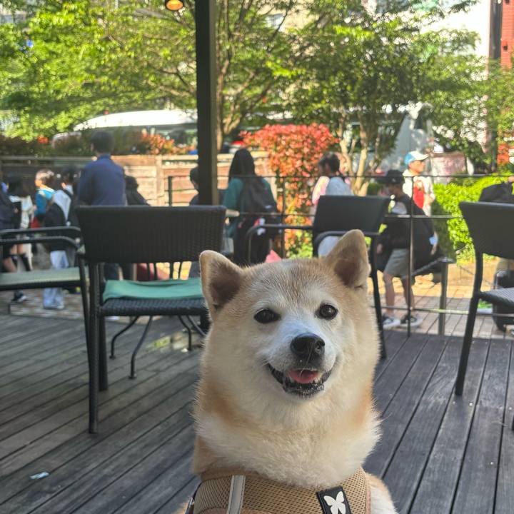 349b0c76 3272 42c8 af55 d7aea8fbbf5e 1746306212185