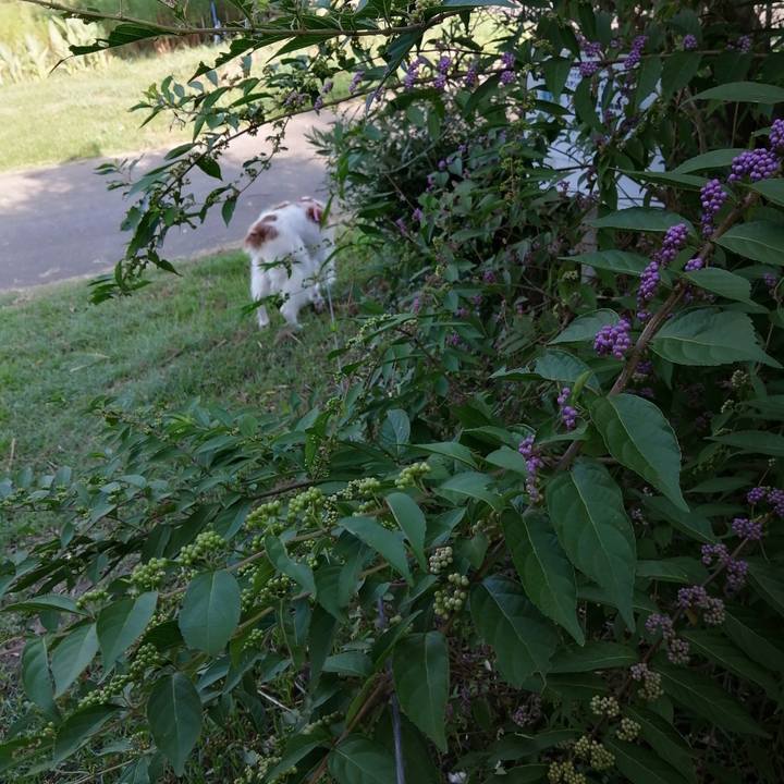 349b986a 8474 4c4c bbf8 82538df1ed8c 1598918447627