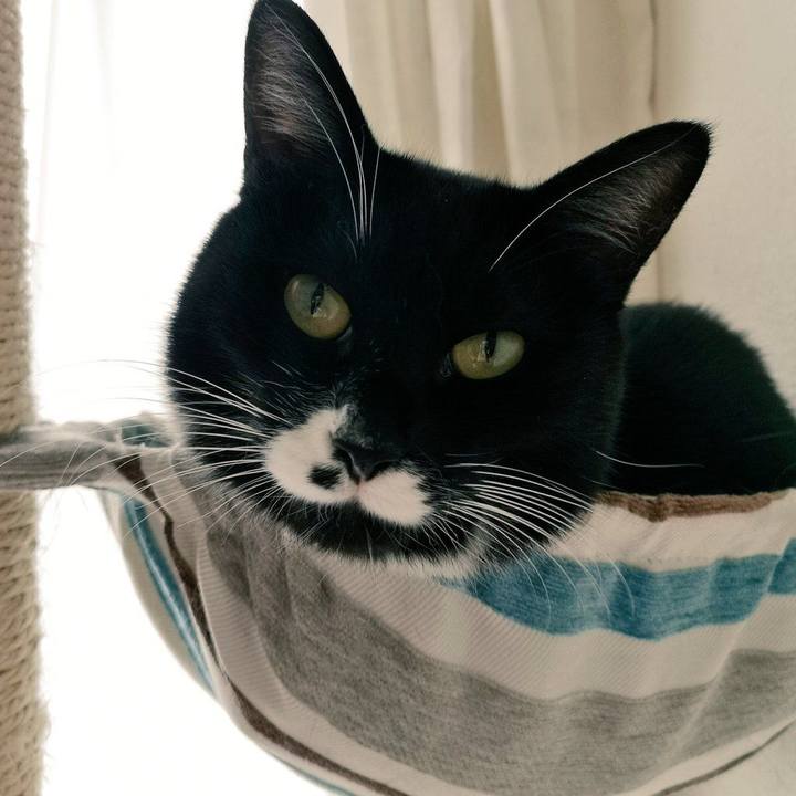 349b9a78 bfc9 4c34 8a60 1304ff81981f 1542761327611