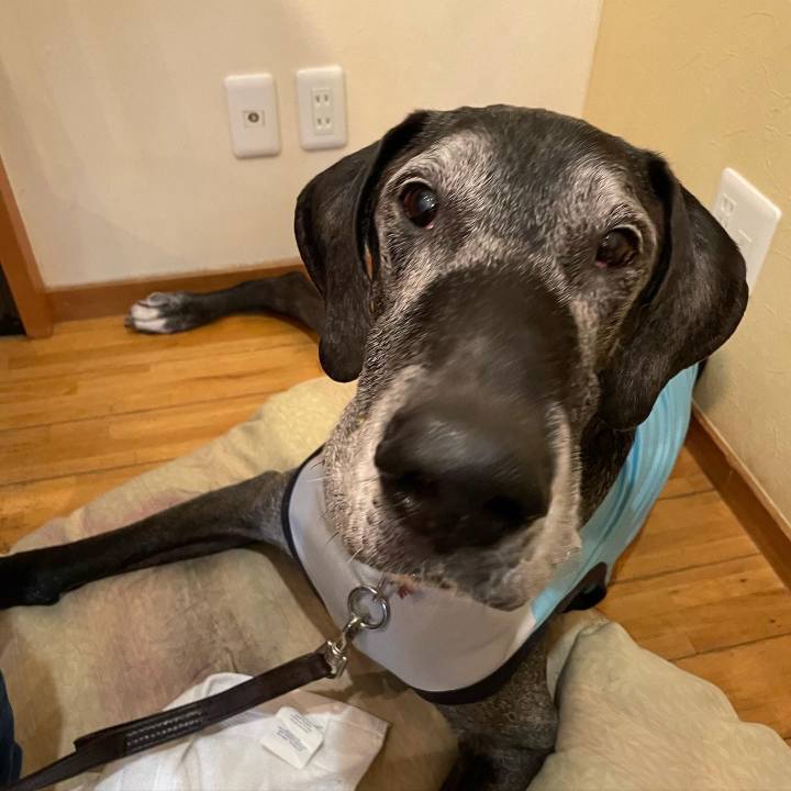 349ba4bd 1fc2 460a b5fd 94b31ef36936 1649583424404