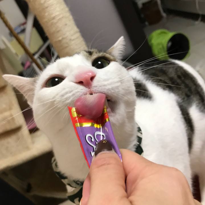 349bdb29 ba39 421f b74c 89062564d9bb 1519306330669