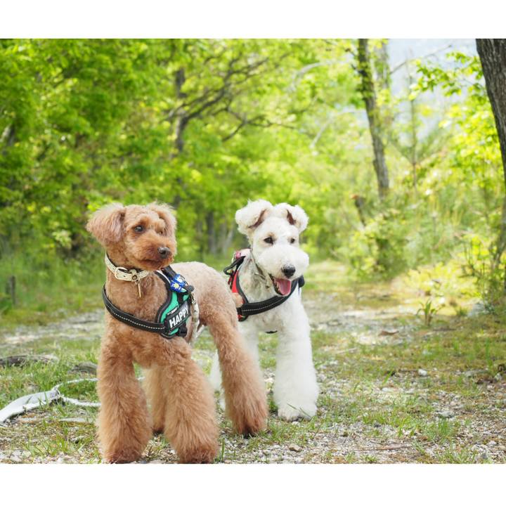 349be3f6 c0db 4e9a 9ea0 3d40c135a38f 1557047880301