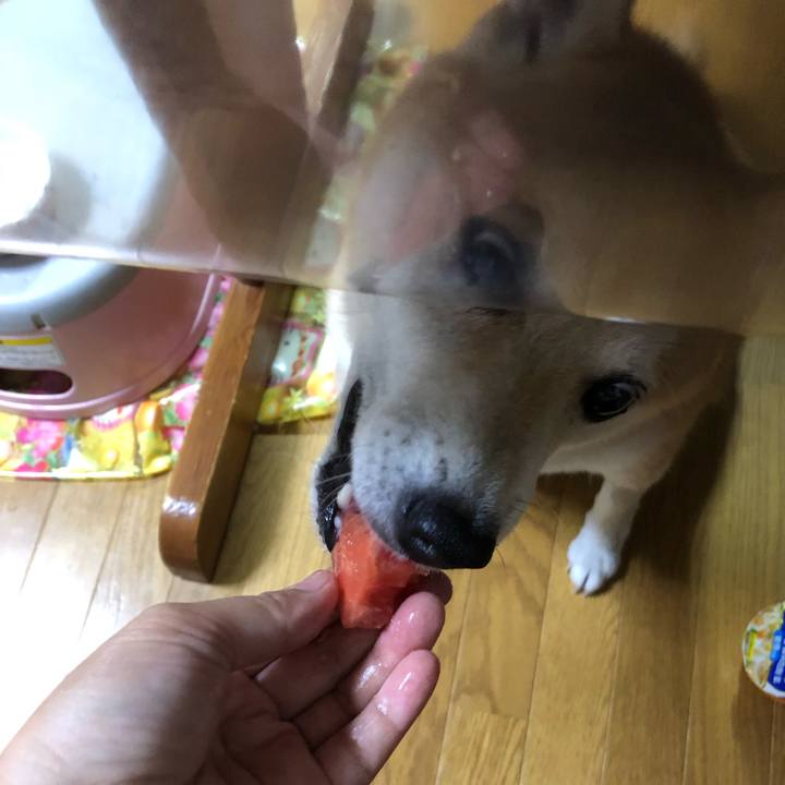 349bf5ef cec7 4c31 a88f 760e68fd73a6 1564316220538