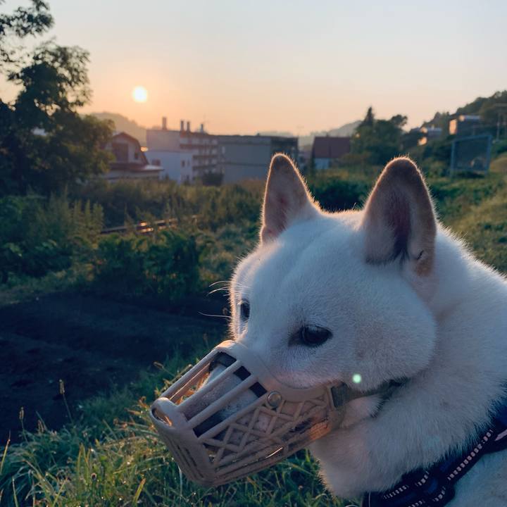 349c28d2 93bf 4b8a 9ce9 499eca35ba1f 1628801159625