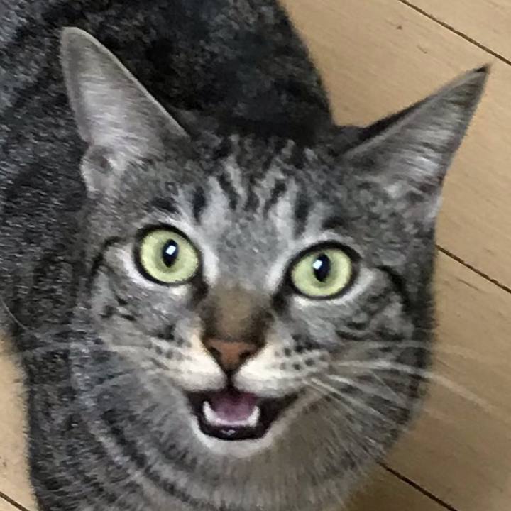 349c49ba 70f4 4c06 b905 df88613360c7 1585908732910