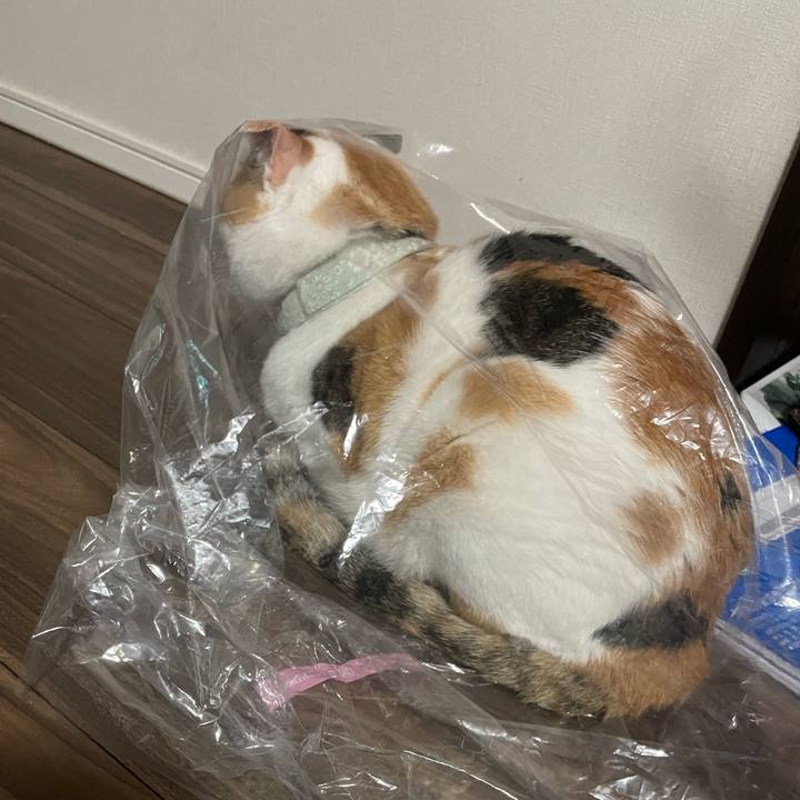 349c57d7 952e 426c 92b2 6267b5b997e3 1683458487743