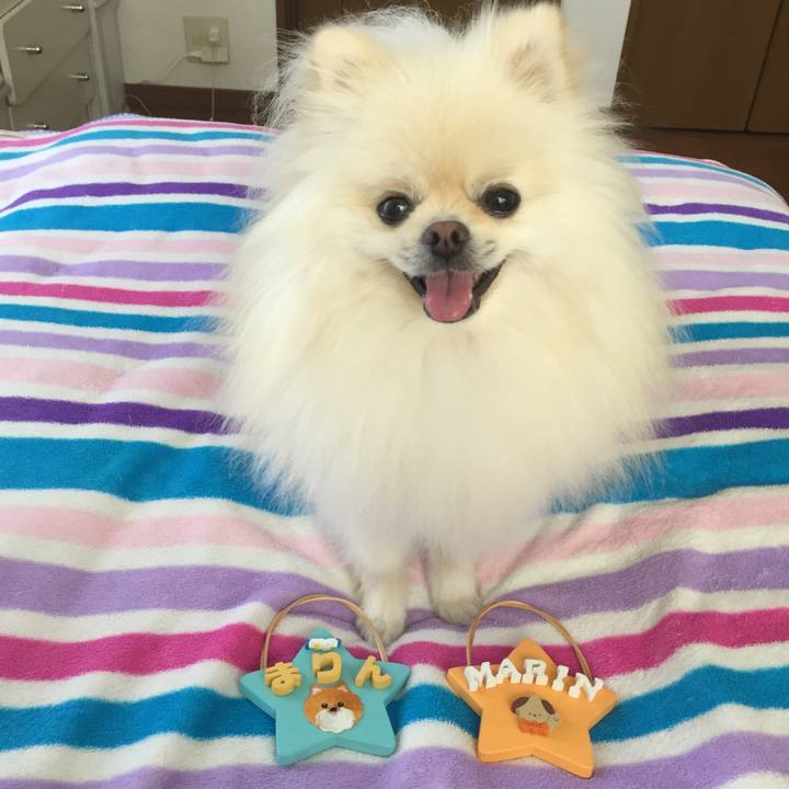 349c7943 c487 413c beec 0164ec2d8117 1535158344133