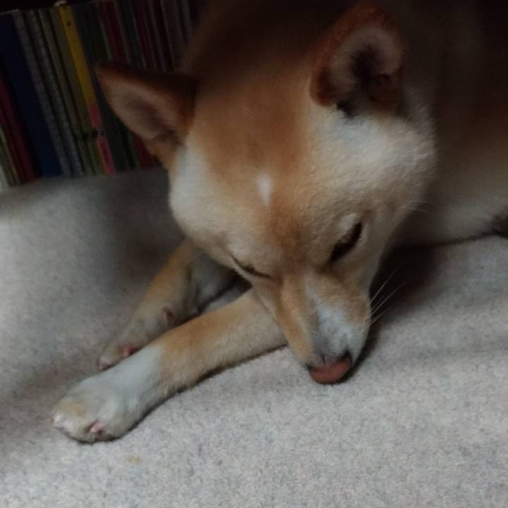 349caa49 41d6 41ba b62d 2350c61744d6 1529233417992