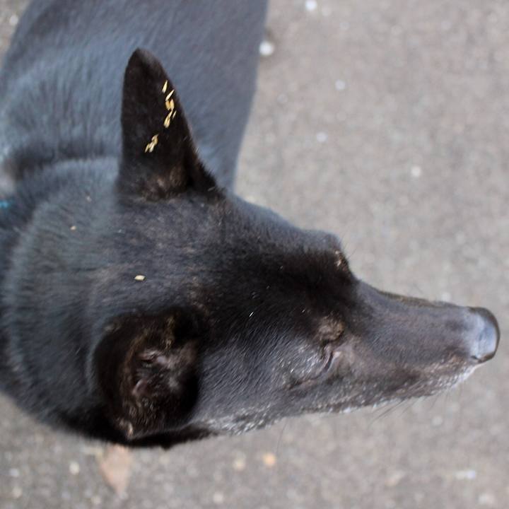 349d924a 25cd 4a79 a08b 2938dade0e62 1516235502791