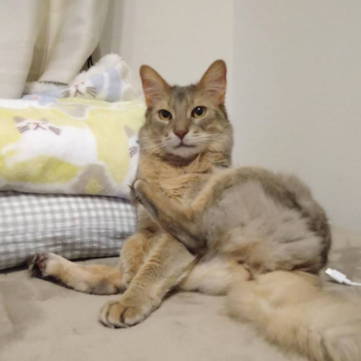 349d9b3b 983d 4526 b50a 593709ab0793 1620740711485