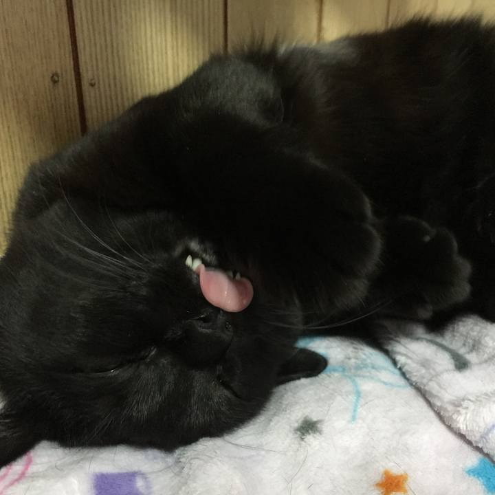 349da0ea f7fb 4bc3 b2d0 6ebfcc0a6c55 1511398342693