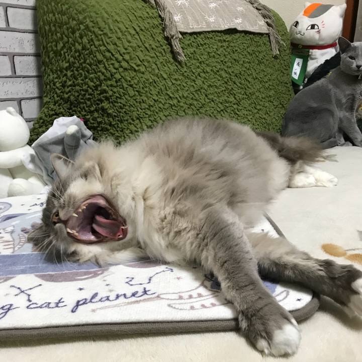 349e0ecc 05c6 44c2 b73f c7f3304f2f51 1517309654834