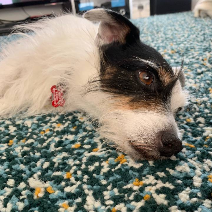 349e16d6 779f 4467 81c1 3582a40bc13e 1688100888209