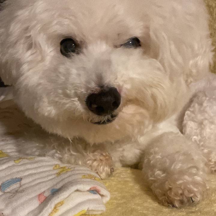 349e7117 4f0b 4373 abdf 15cf00fbc0b5 1650195589263