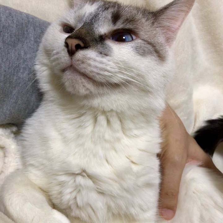 349e8cac f84b 4e68 a3e7 c347e7088371 1539425459147