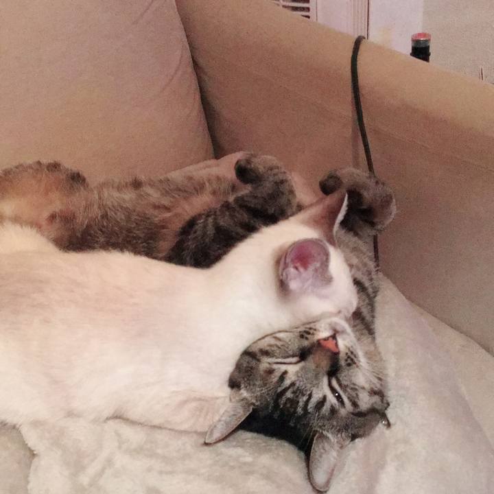 349eca95 8c7c 4a95 bf9c 2b8253556776 1538207117073