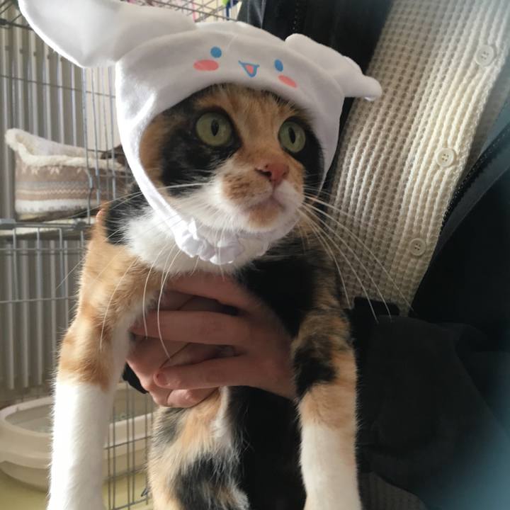 349f0b46 7ccf 4ad7 ae35 f3b80568a4da 1510117838708