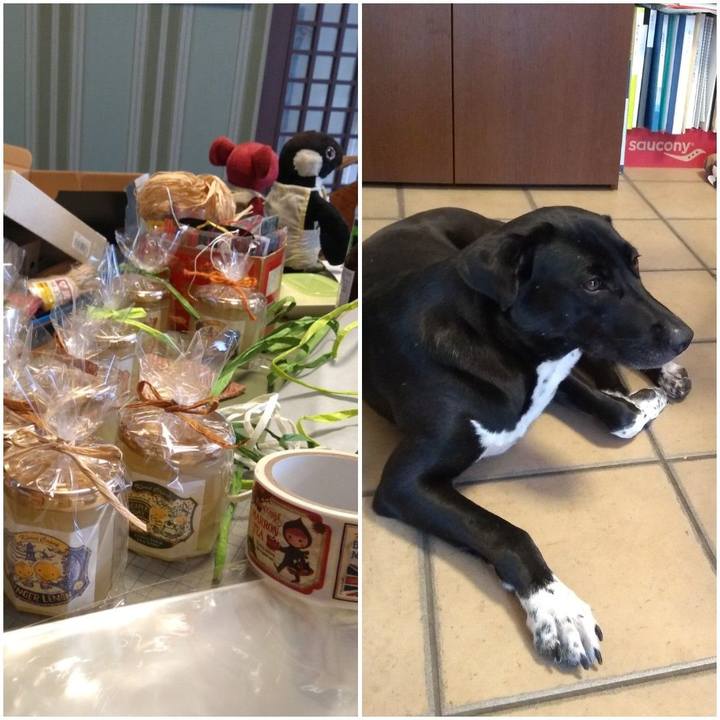 349f1c88 1eb5 4efb 9133 0e48559037a0 1597987995738