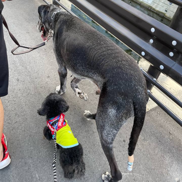 349f2f14 3a01 406d 824c 8486251539eb 1659140294049