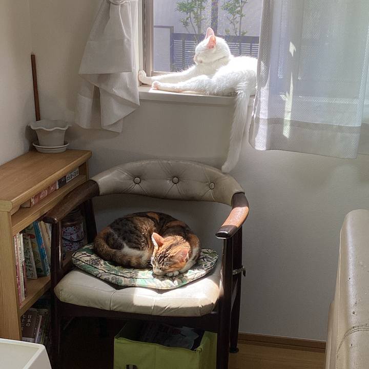 349f41d8 2492 4566 8347 30d529c51204 1652160291941