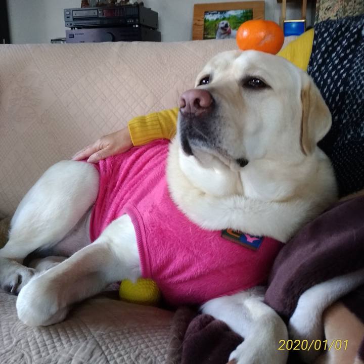 349f4df0 9986 4888 9503 c245d6d846d2 1577861605269