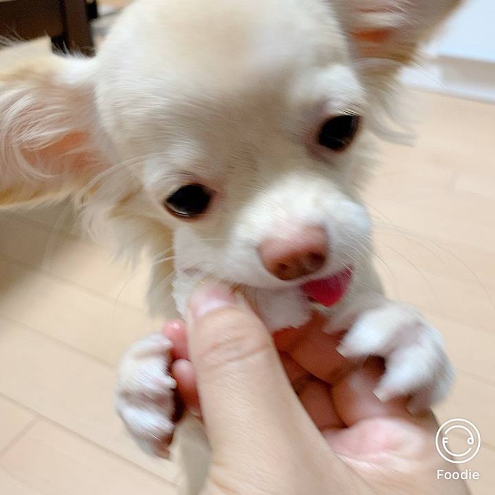 349f84cb 09b3 444d 88c7 4f969f90f2c3 1601882428757