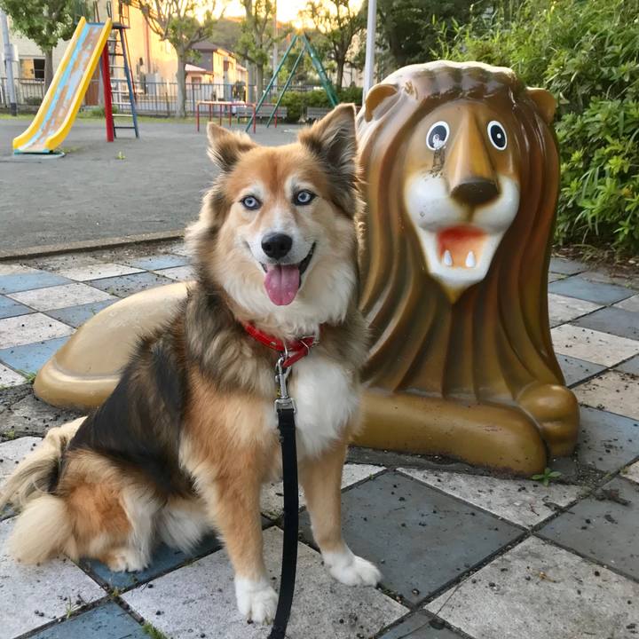 349fb1f8 e5fc 49b3 8774 0937bee7ad20 1561455035070