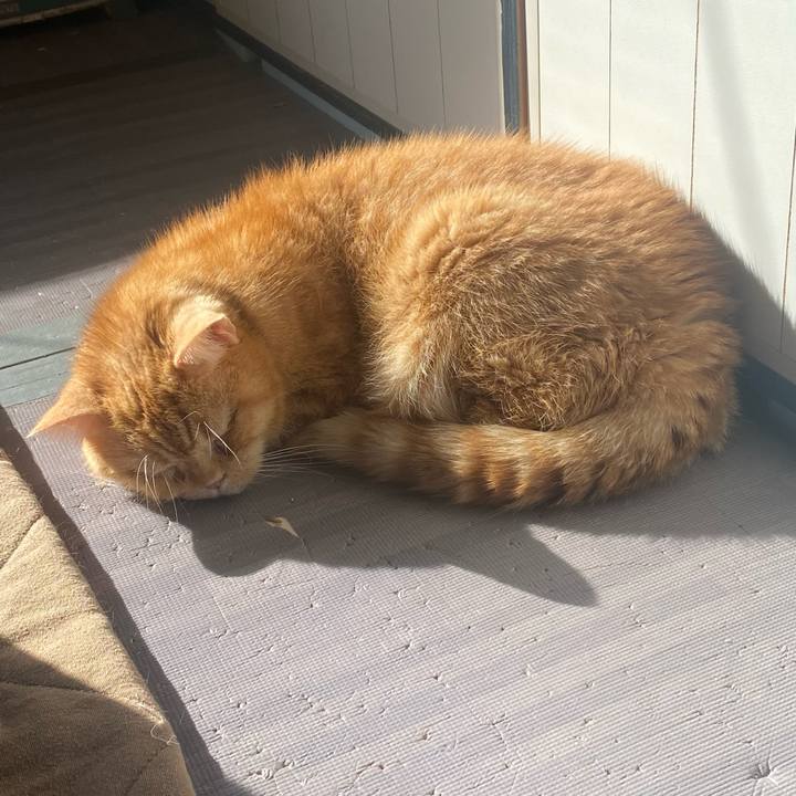 349fddd4 75f2 4106 8547 37ce7c7187c5 1669508317757