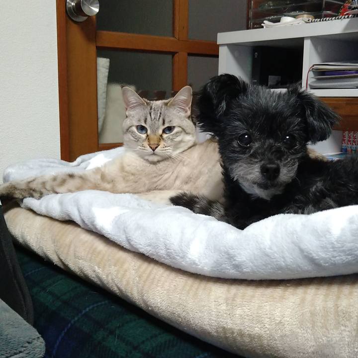 349fe36d b591 4a0a 86ec 227e9e7796a4 1669381977736