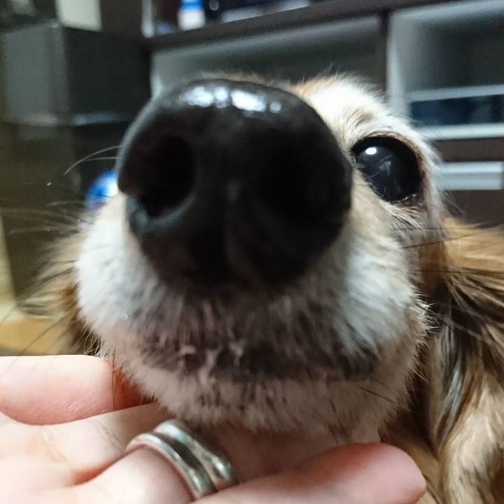 34a01458 ade3 4a3c a1ba 1c4d796bf98e 1516173068913