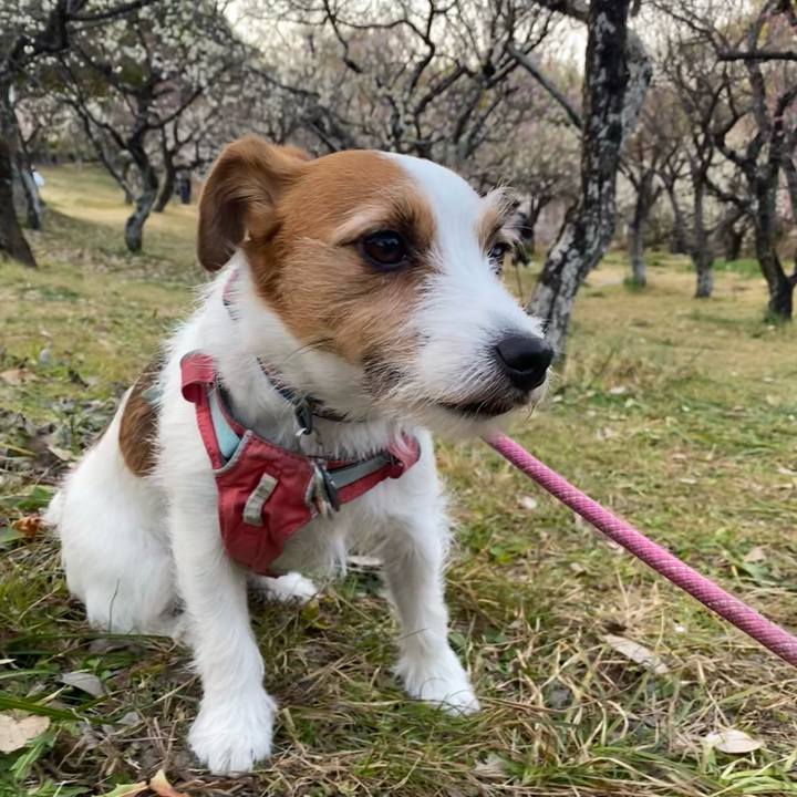 34a06dac f0e4 4297 96cd 5e63ba230b94 1771854113727