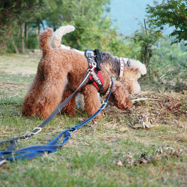 34a08850 0e27 412e 8e46 f696c6758d08 1532049602810