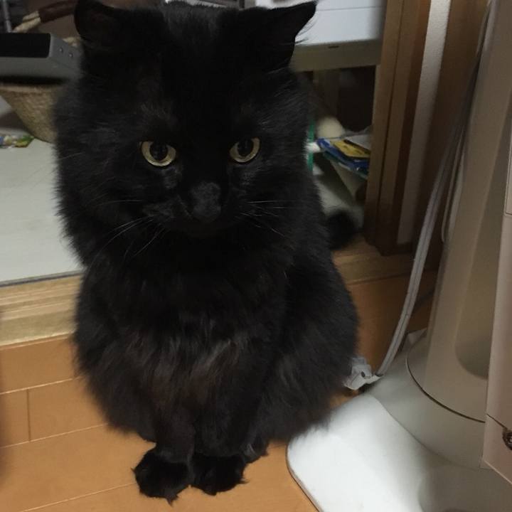 34a0b3e6 83b1 40a5 8839 0ee33be5edbf 1526220558072