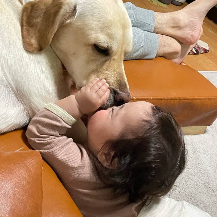 34a0b55d fac8 4e3b ba22 970b309f39d6 1743632751372